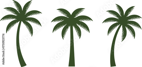 Three Simple Palm Tree Silhouettes on White Background