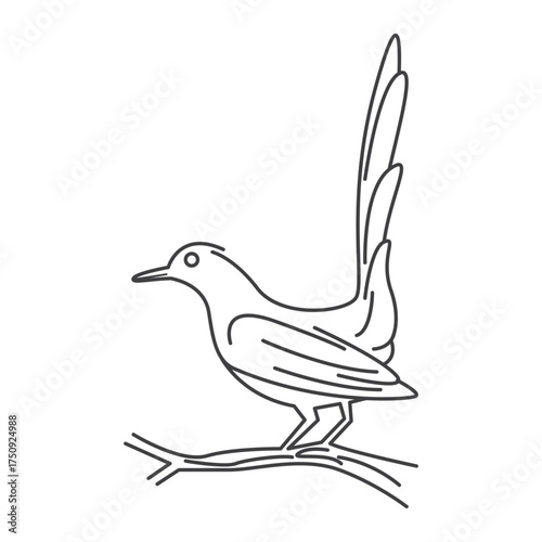 Vector design and line icon of magpie bird for elements and suitable for learning to color