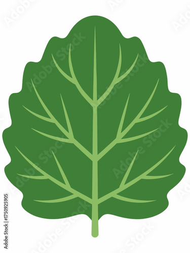 Isolated green leaf illustration showcasing plant anatomy and venation for botanical studies and design projects depicting nature and environment