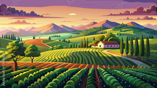 Very beautiful landscape of Virginia Wine Country near Charlottesville with vineyard hills, glowing sunset, and endless rows of green vines.
