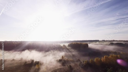 Yellow leaves on the trees. Drone flight over a foggy autumn forest. An FPV drone flight over an autumn forest and ravine in the morning fog. Autumn landscape with fog at dawn.