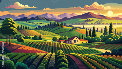 Very beautiful landscape of Virginia Wine Country near Charlottesville with vineyard hills, glowing sunset, and endless rows of green vines.
