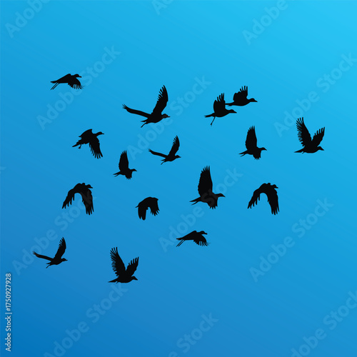 Flying bird silhouette vector illustration for art projects and graphic design.