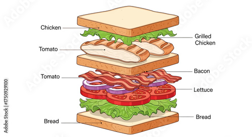 Mouthwatering exploded view of a delicious chicken club sandwich, perfect for illustrating food concepts and healthy eating guides with vibrant colors