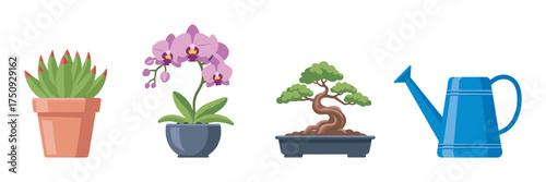 A collection of potted plants and a blue watering can, featuring a cactus, orchid, and bonsai tree in separate containers.