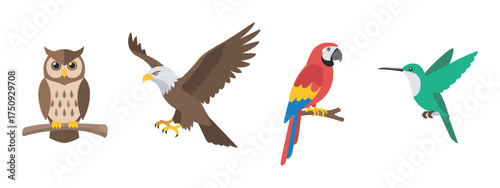 Stylized cartoon depictions of an owl, bald eagle, parrot, and hummingbird perched on branches, each displaying unique vibrant colors and features.