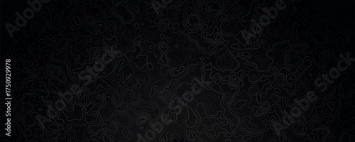 Dark elegant topographic map background. Topographic wallpaper