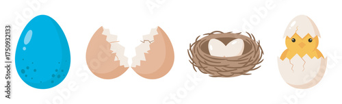 A sequence showing a blue egg, cracked eggshells, a nest with an egg, and a newly hatched chick with eggshell remains.
