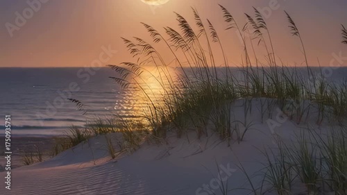 Golden Moon Over Serene Beach Dune At Dusk With Gentle Waves Reflecting Warm Sunset Light And Tall Grass Silhouettes