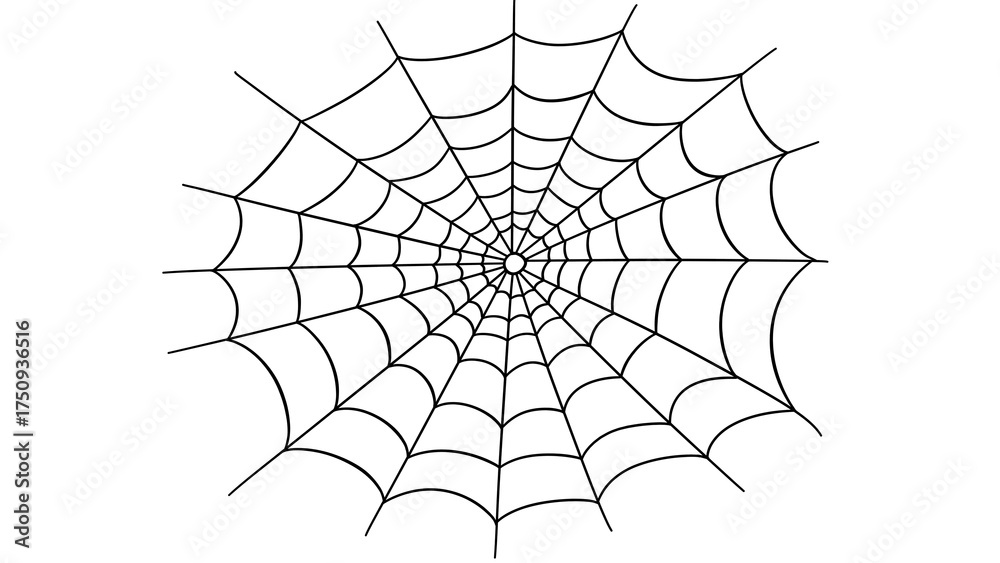 Fototapeta premium Hand-drawn spider web on transparent background, Halloween element, sketch design