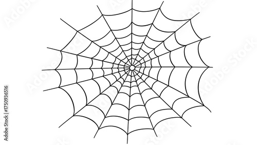 Hand-drawn spider web on transparent background, Halloween element, sketch design