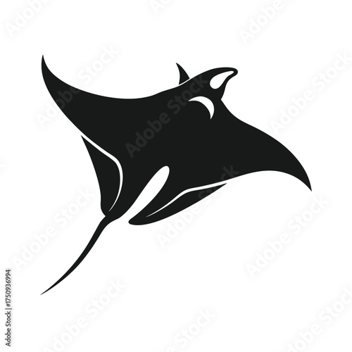 Black silhouette of a manta ray swimming stingray marine life