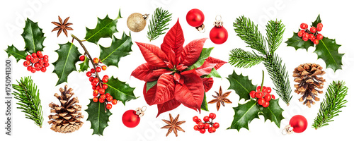 Christmas collection with poinsettia and holly. Flat lay photography isolated. PNG without background and shadow.
