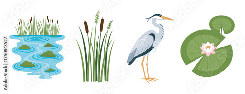 Stylized depiction of marshland elements including water with algae, tall cattails, a standing heron, and a lily pad with a blooming flower.