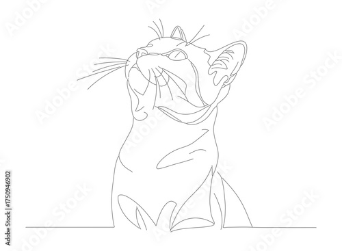 Minimalist Line Art Cute Cat Kitten Pet Animal Illustration Artwork
