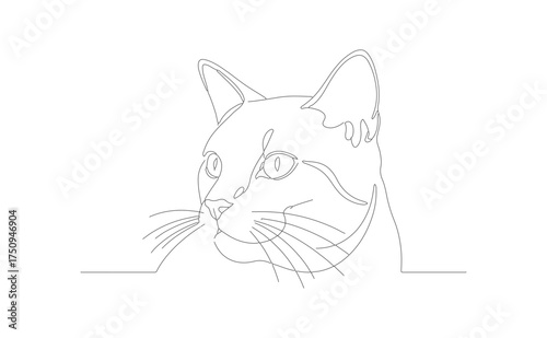 Minimalist Continuous Line Drawing of a Cat Pet Animal Illustration