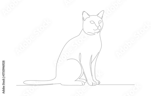 Minimalist Outline Sitting Cat Illustration Feline Domestic Pet Animal Art