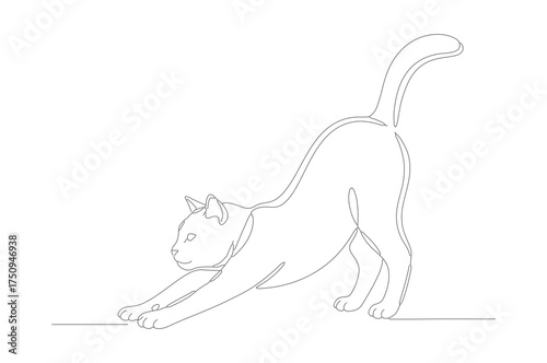 Minimalist Line Drawing Cat Stretching Pose Animal Illustration Art