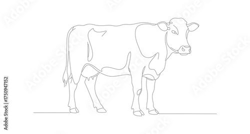 Minimalist Line Art Cow Farm Animal Simple Design Illustration