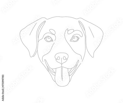 Simple Outline Drawing of Labrador Retriever Dog Head Illustration
