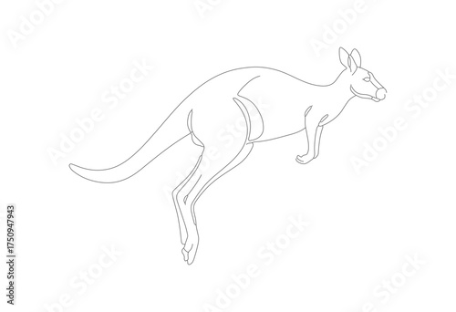 Simple Outline Kangaroo Silhouette Illustration Running Animal Wildlife Clipart