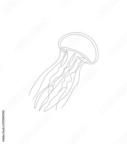 Minimalist Outline Elegant Jellyfish Silhouette Aquatic Animal Nature Illustration