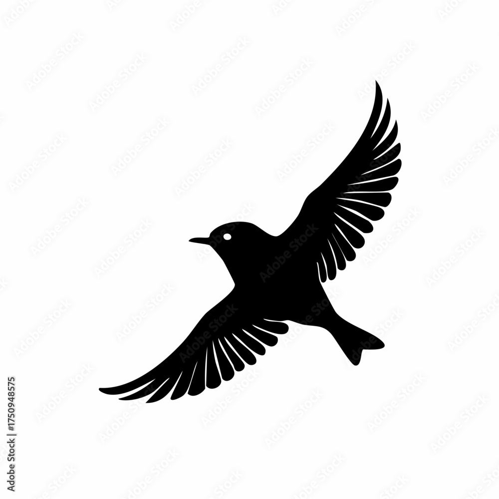 Obraz premium Black Silhouette of Flying Bird with Spread Wings