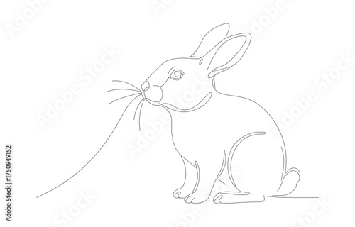 Minimalist Line Art Rabbit Eating Carrot Simple Animal Illustration