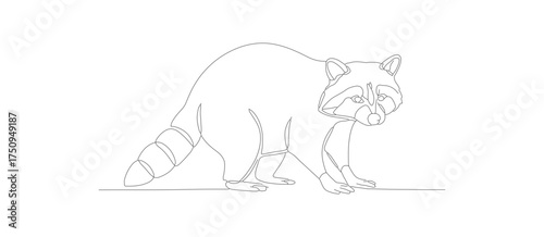 Minimalist Dotted Line Art Raccoon Walking Wildlife Animal Illustration