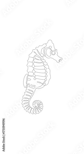 Abstract Dotted Seahorse Aquatic Animal Creature Sea Life Illustration Graphic