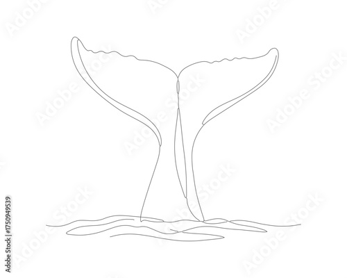 Minimalist Line Art Whale Tail Isolated Illustration on White Background