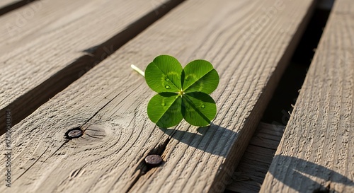 Lucky Four-Leaf Clover on Weathered Wooden Surface.