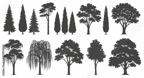 Silhouettes of various trees, including conifers and deciduous types.