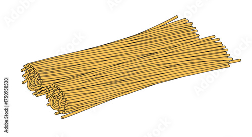 A close up of a bunch of uncooked spaghetti noodles on a white background.