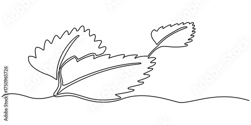 A minimalist continuous single line drawing of a fresh mint sprig with leaves, isolated on a white background.