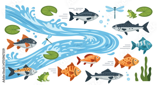 Colorful flat vector illustration of a freshwater ecosystem with a river various fish frogs and lily pads.