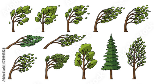 Collection of Trees in Various Styles Including Wind-Swept and Evergreen.