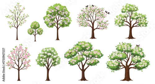 A collection of various illustrated spring trees showing different stages of blooming with white and pink blossoms and lush green leaves.