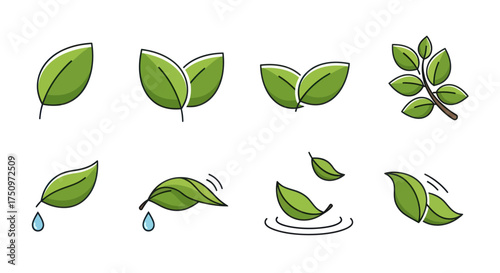 Cartoon Green Leaves Collection with Various Poses and Water Drops.