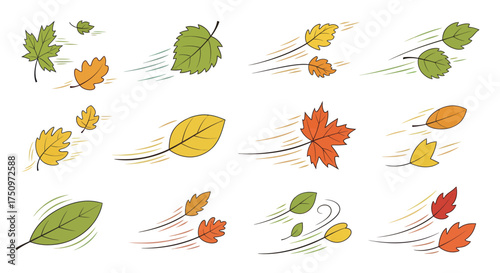 Collection of Autumn Leaves Blown by Wind.