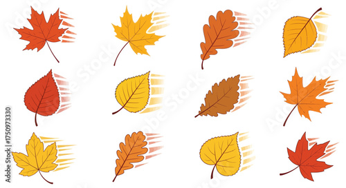 Collection of Colorful Autumn Leaves with Motion Blur Effect.