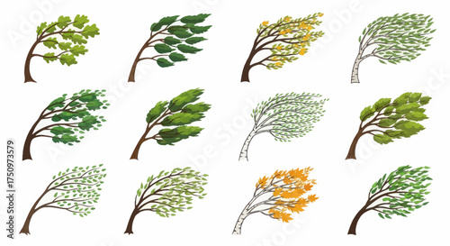 Collection of Trees Bending Under Strong Wind Force.