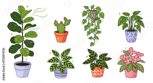 A colorful illustrated collection of popular potted houseplants including Fiddle Leaf Fig cactus and Calathea.