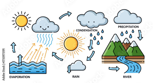 Illustrated Water Cycle Diagram Showing Evaporation Condensation Precipitation and Runoff.