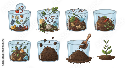 Diagram of Soil Layers and Composting Process in Transparent Containers.