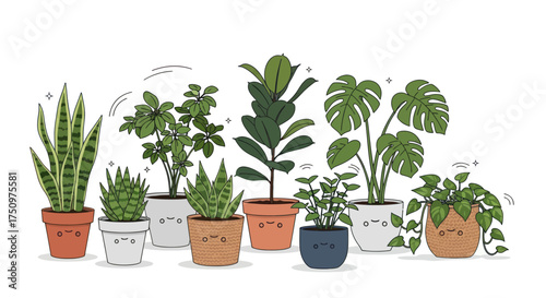 Collection of various potted houseplants with diverse foliage and shapes.