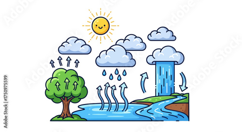 Illustrated Water Cycle Diagram with Sun Clouds and Rain.