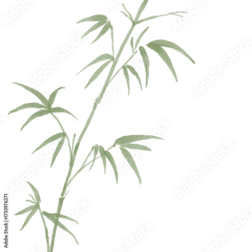 Chinese style ink bamboo illustration
