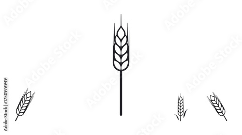 Four wheat stalks, one upright and three angled, depicted as simple black line drawings on a white background.