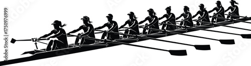 Rowing team silhouette illustration, synchronized oar movement, black and white design, athletic coordination, coxswain leadership, water sport concept, teamwork in motion